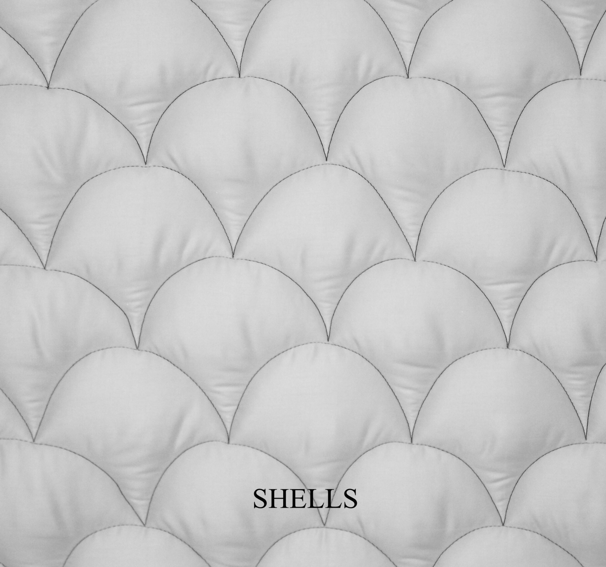 Shells Quilting